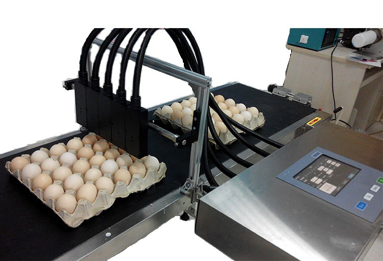 ����ͷ����ϵͳ